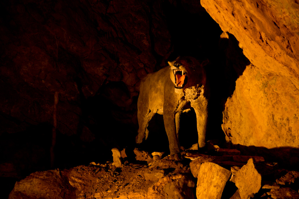 Un león cavernario que no se ha enterado de que ya se ha extinguido.