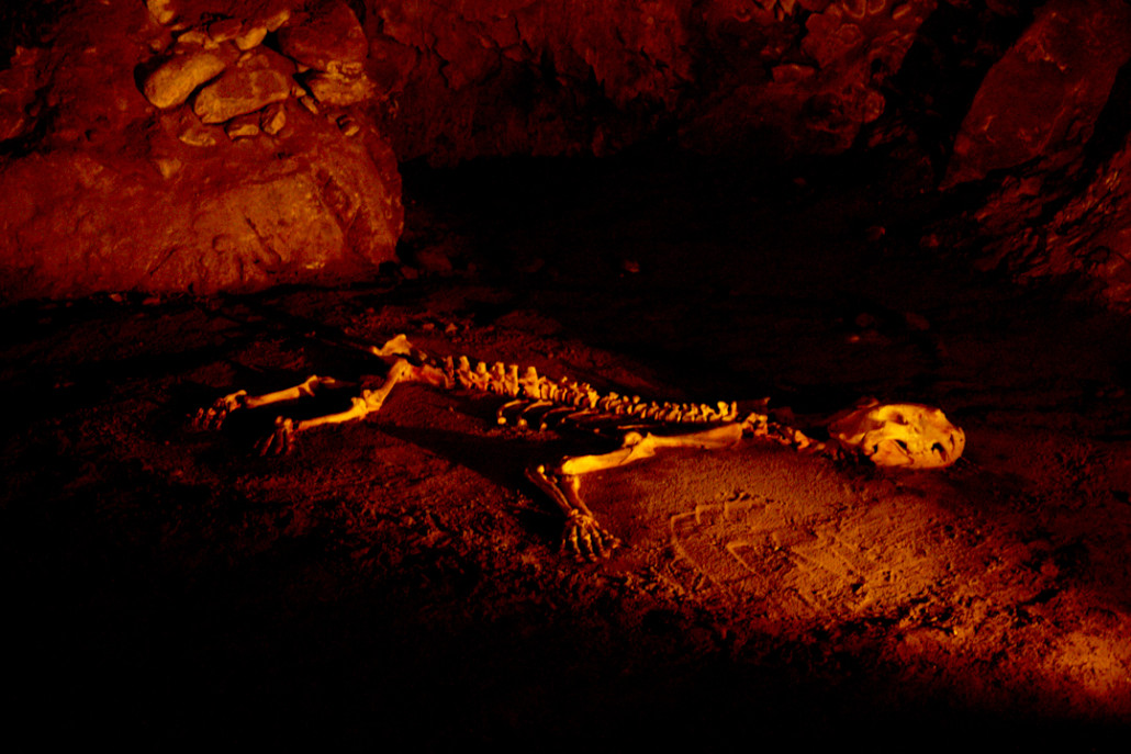 Reproducción del esqueleto del león cavernario hallado en la cueva de Arrikrutz. 